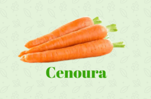 Deliciosa cenoura para a comidinha do neném