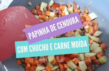 Papinha De Cenoura Com Chuchu E Carne Moída